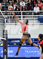 Photo from the gallery "Sotomayor @ Stevens"