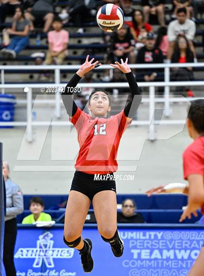 Thumbnail 2 in Sotomayor @ Stevens photogallery.