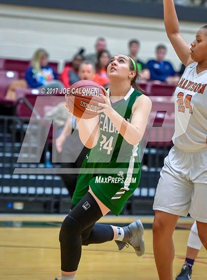 Thumbnail 3 in Reagan [Ronald] vs Madison photogallery.