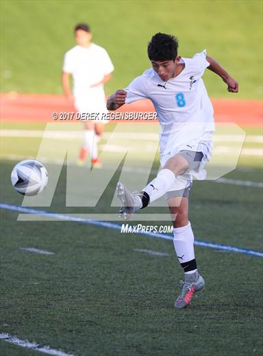 null - Photo 11