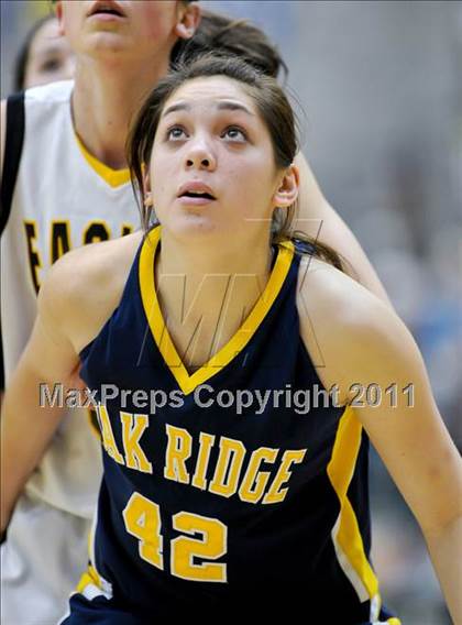 Thumbnail 3 in Oak Ridge @ Del Oro photogallery.