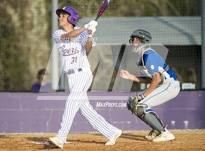 Thumbnail 2 in Bourgeois @ Thibodaux photogallery.