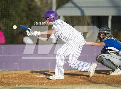 Thumbnail 2 in Bourgeois @ Thibodaux photogallery.