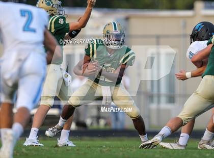 Thumbnail 1 in Ponte Vedra @ Nease photogallery.