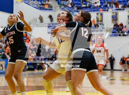 Thumbnail 3 in  Muenster vs Nocona (UIL Basketball 2A Regional Final) photogallery.