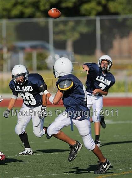 Thumbnail 2 in Scotts Valley @ Leland photogallery.