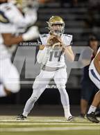 Photo from the gallery "Napa @ Montgomery"