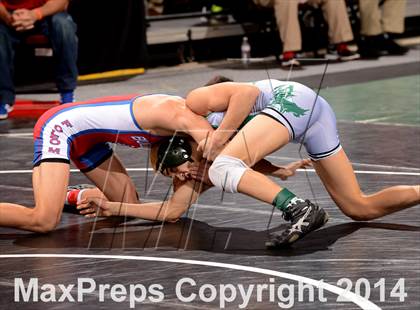 Thumbnail 3 in CIF State Wrestling Championships (Round 2)  photogallery.