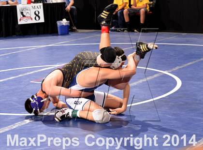 Thumbnail 3 in CIF State Wrestling Championships (Round 2)  photogallery.