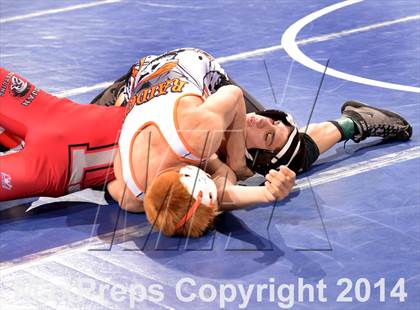 Thumbnail 3 in CIF State Wrestling Championships (Round 2)  photogallery.
