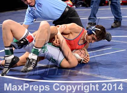 Thumbnail 3 in CIF State Wrestling Championships (Round 2)  photogallery.