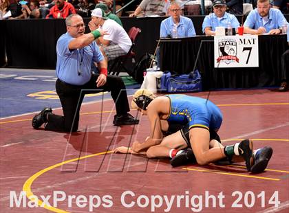 Thumbnail 3 in CIF State Wrestling Championships (Round 2)  photogallery.