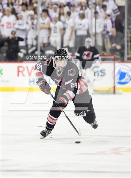 Thumbnail 2 in Randolph vs Northern Highlands (NJSIAA Public B Final) photogallery.