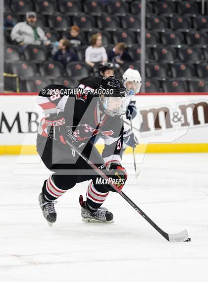 Thumbnail 1 in Randolph vs Northern Highlands (NJSIAA Public B Final) photogallery.