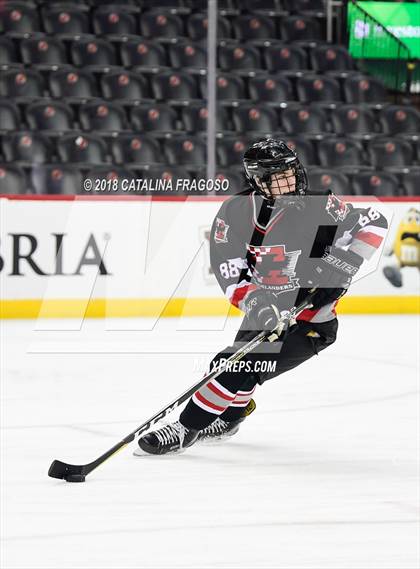 Thumbnail 2 in Randolph vs Northern Highlands (NJSIAA Public B Final) photogallery.