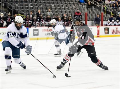Thumbnail 1 in Randolph vs Northern Highlands (NJSIAA Public B Final) photogallery.