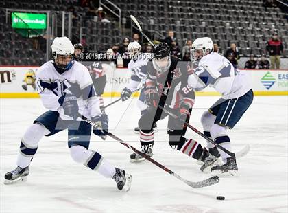 Thumbnail 1 in Randolph vs Northern Highlands (NJSIAA Public B Final) photogallery.