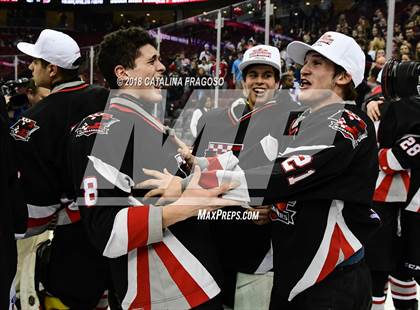 Thumbnail 1 in Randolph vs Northern Highlands (NJSIAA Public B Final) photogallery.