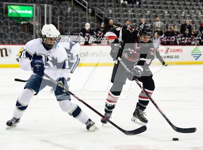 Thumbnail 1 in Randolph vs Northern Highlands (NJSIAA Public B Final) photogallery.