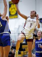 Photo from the gallery "Geneseo @ Caledonia-Mumford (NYSPHAA Section V Class C1 Semi Final)"
