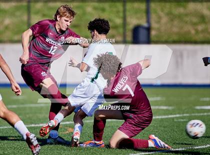 Thumbnail 2 in Pitman vs. Woodcreek (CIF SJS D2 Final) photogallery.