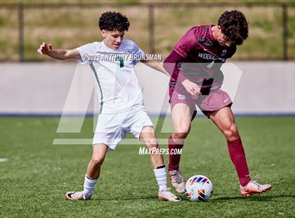 Thumbnail 2 in Pitman vs. Woodcreek (CIF SJS D2 Final) photogallery.