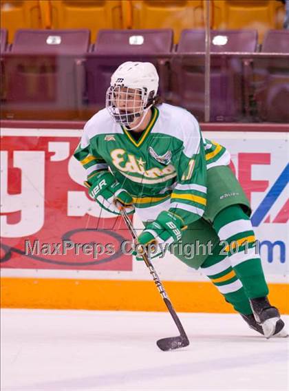 Thumbnail 1 in Duluth East vs Edina (Schwan Cup) photogallery.