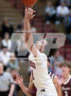 Photo from the gallery "Beaver @ Ambridge"