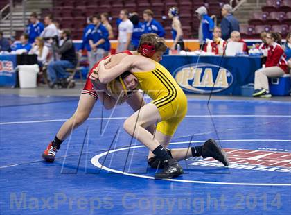 Thumbnail 3 in Cumberland Valley @ North Allegheny (PIAA Class AAA Consolation) photogallery.