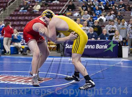 Thumbnail 1 in Cumberland Valley @ North Allegheny (PIAA Class AAA Consolation) photogallery.