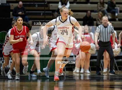 Thumbnail 2 in Tamarac vs. Mechanicville (NYSPHSAA Section 2 Class B Semi Finals) photogallery.