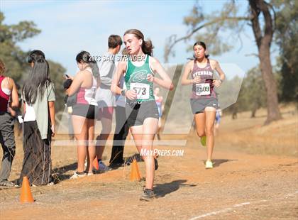 Thumbnail 1 in CIF SJS Subsection (Divison 4) photogallery.