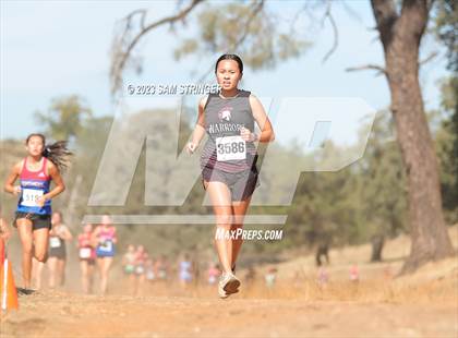Thumbnail 2 in CIF SJS Subsection (Divison 4) photogallery.