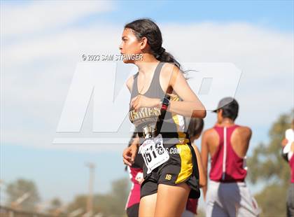 Thumbnail 2 in CIF SJS Subsection (Divison 4) photogallery.