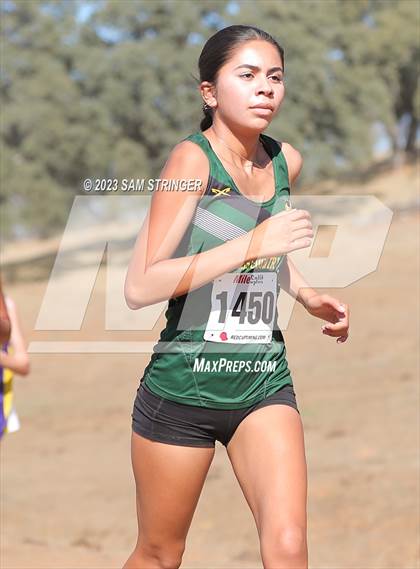 Thumbnail 1 in CIF SJS Subsection (Divison 4) photogallery.