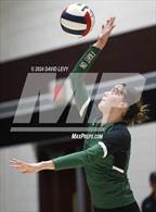 Photo from the gallery "Sunnyslope @ Hamilton"