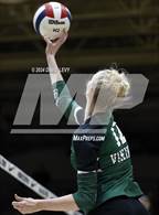 Photo from the gallery "Sunnyslope @ Hamilton"
