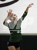 Photo from the gallery "Sunnyslope @ Hamilton"