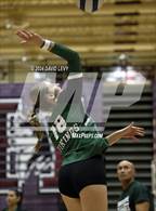 Photo from the gallery "Sunnyslope @ Hamilton"