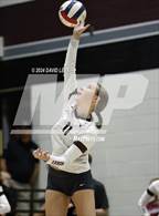 Photo from the gallery "Sunnyslope @ Hamilton"