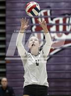 Photo from the gallery "Sunnyslope @ Hamilton"