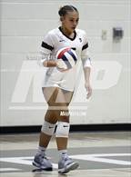 Photo from the gallery "Sunnyslope @ Hamilton"