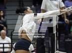 Photo from the gallery "Sunnyslope @ Hamilton"