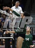 Photo from the gallery "Sunnyslope @ Hamilton"