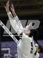 Photo from the gallery "Sunnyslope @ Hamilton"