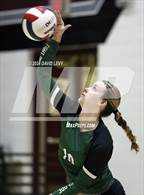Photo from the gallery "Sunnyslope @ Hamilton"
