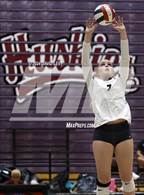 Photo from the gallery "Sunnyslope @ Hamilton"