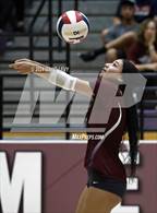 Photo from the gallery "Sunnyslope @ Hamilton"