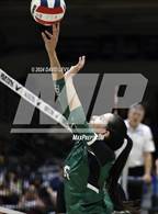 Photo from the gallery "Sunnyslope @ Hamilton"