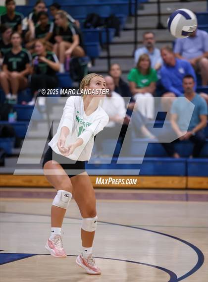 Thumbnail 3 in Myers Park @ Weddington photogallery.